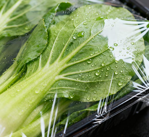 Groene recycling wordt mainstream en Donghui Heat Shrink Film stimuleert de transformatie van de verpakkingsindustrie met milieuvriendelijke technologie.